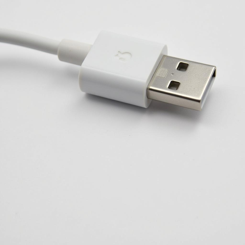 iPhone 5 Lightning Cable Authentic