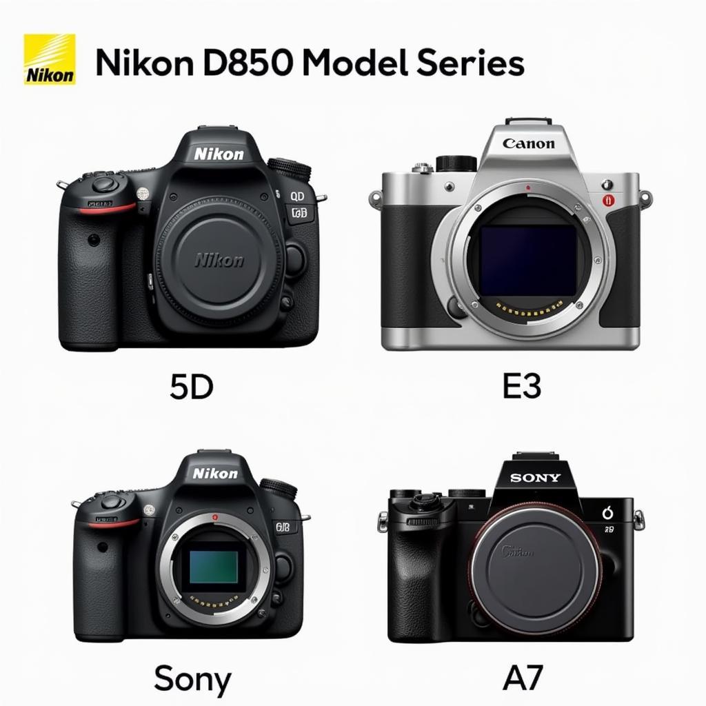 Nikon D850 used camera compared to other models