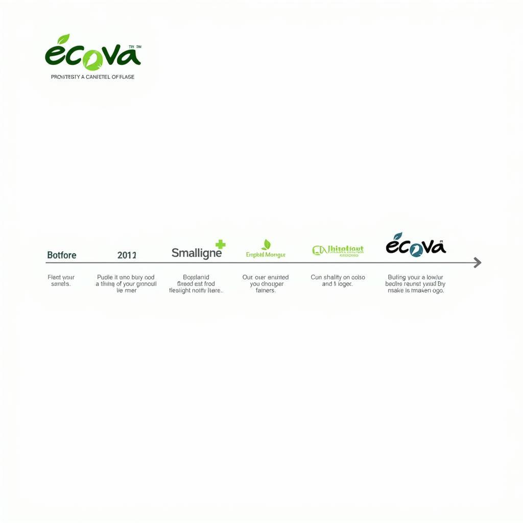 Sự phát triển của Ecova logo