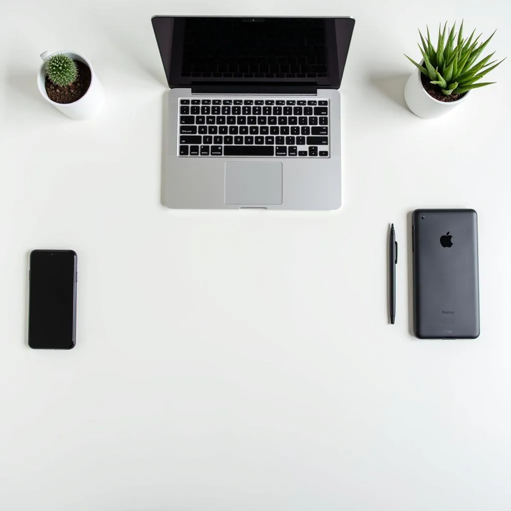 Minimalist desk setup with white desk, laptop, plant, and black accessories.