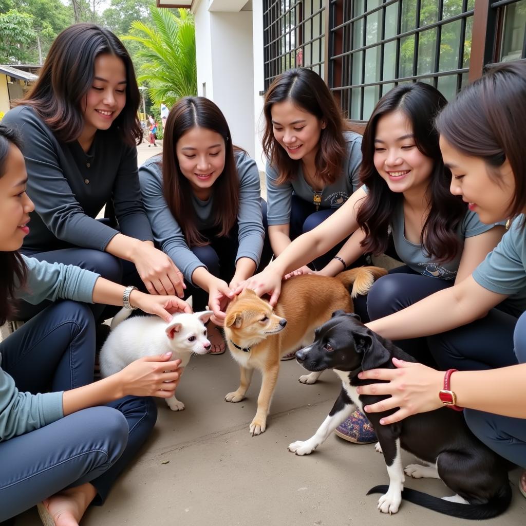 Tình nguyện viên chăm sóc chó mèo tại Hà Nội